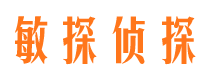 宁陵市调查公司